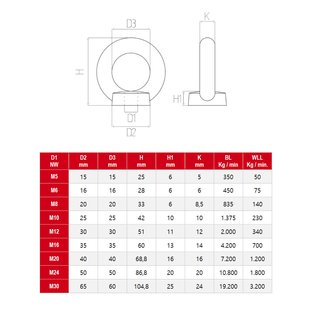 Ring nuts cast stainless steel DIN582 V2A A2 M6 - eye nuts stainless steel nuts special nuts round nuts metal nuts lifting nuts stop nuts transport nuts
